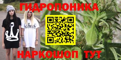 jwh Будённовск
