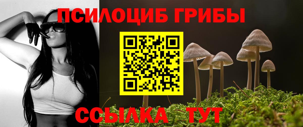 Шуя  Псилоцибиновые грибы Cubensis  Вход с VPN 