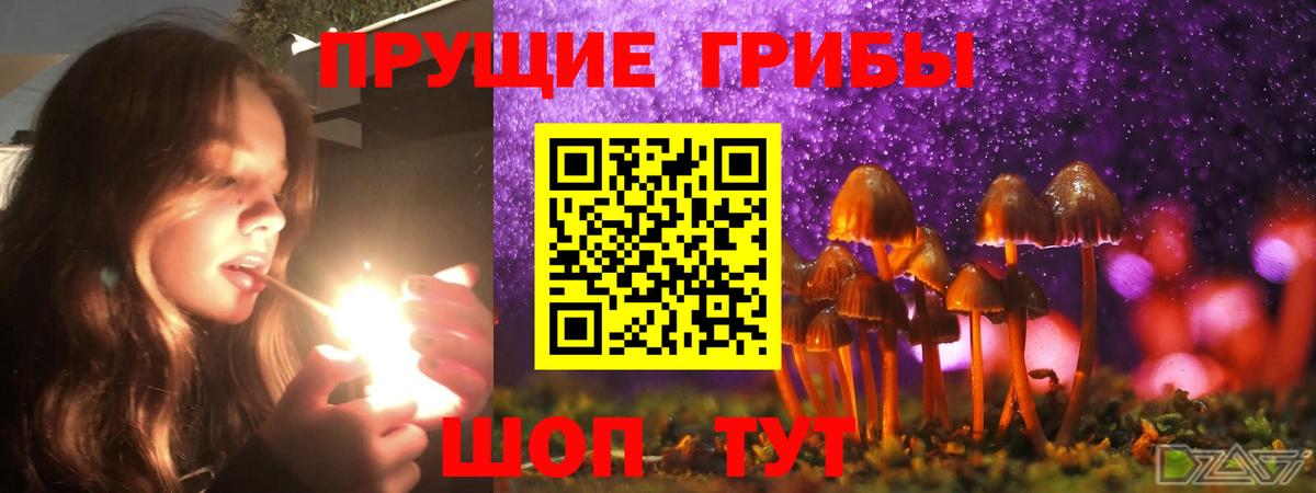 Псилоцибиновые грибы Magic Shrooms Шуя